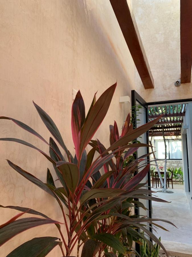 Pina Coloradas Ecolodge Yuluc Luaran gambar